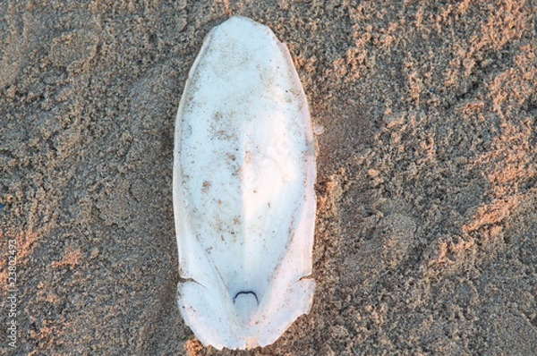 Fototapeta Seiche os