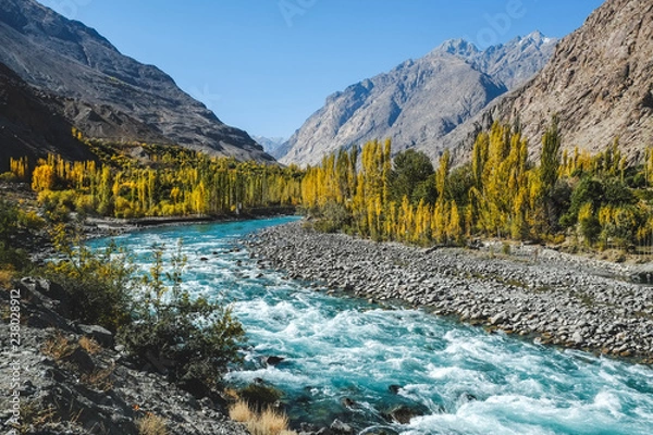 Fototapeta Autumn scene, blue turquoise water of Gilgit river flowing through Gupis, Ghizer, Gilgit-Baltistan, Pakistan.