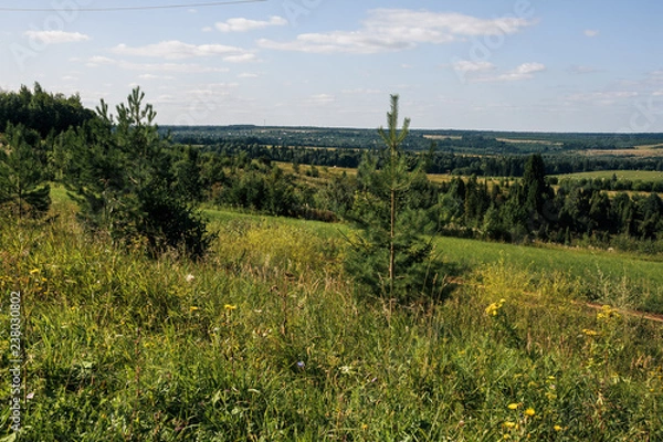Fototapeta Landscape with fields and forest