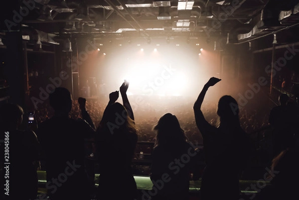 Obraz People at the concert watching music show from the balcony