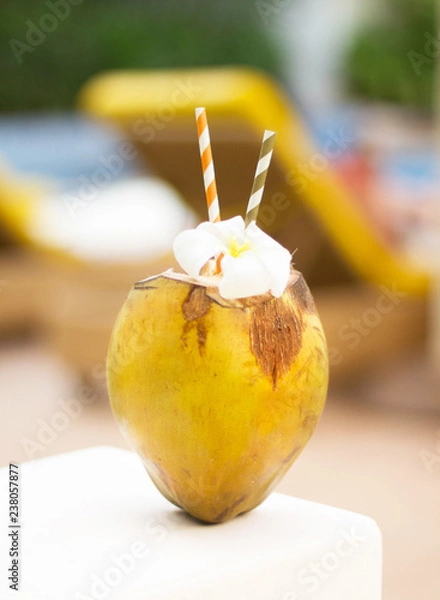 Obraz Drink in coconut on the pool