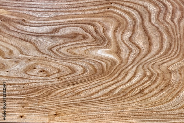 Obraz Slab table top of elm. Woodworking and carpentry production. Furniture manufacture