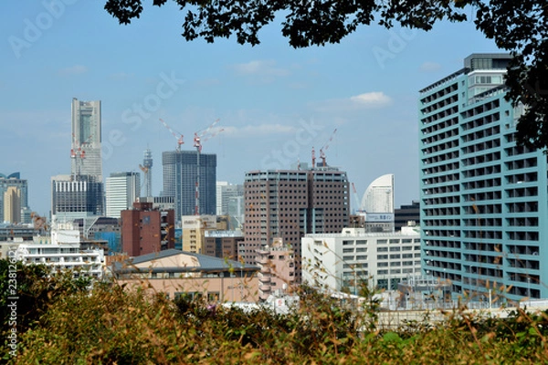 Obraz イタリア山庭園