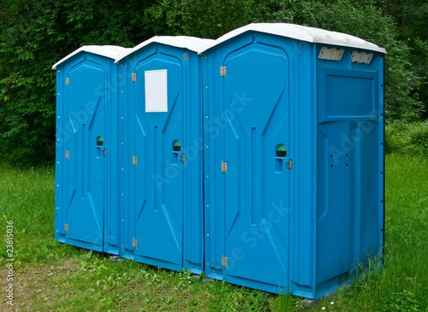 Obraz Transportable toilets in the park