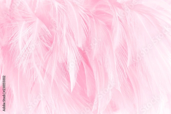 Fototapeta Soft pink feathers texture background.