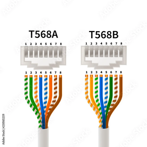 Fototapeta RJ45 crossover pin assignment in T568A and T568B connections types, infographic scheme