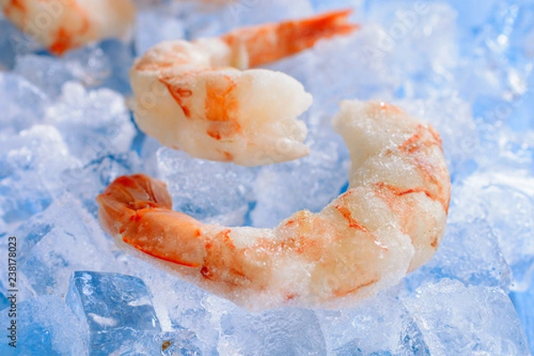Fototapeta Two boiled frozen shrimps are among the pieces of ice on a blue wooden background