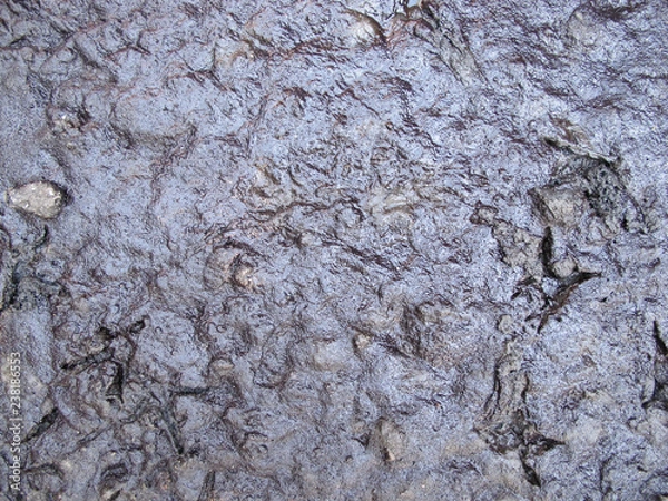 Fototapeta Background of Wet Soil, Texture of Muddy Soil