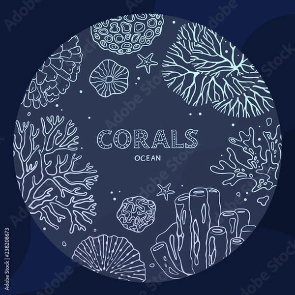 Fototapeta Circle coral underwater concept in a line art style