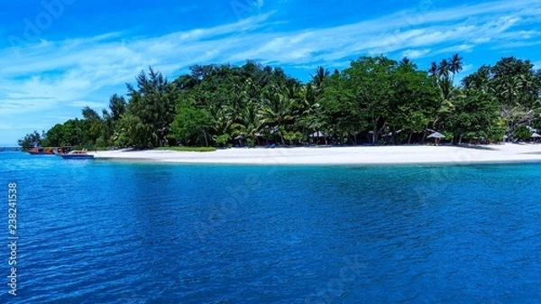 Obraz Sulawesi Bluebaydivers