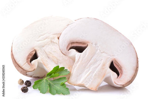 Fototapeta Champignon mushrooms on a white background