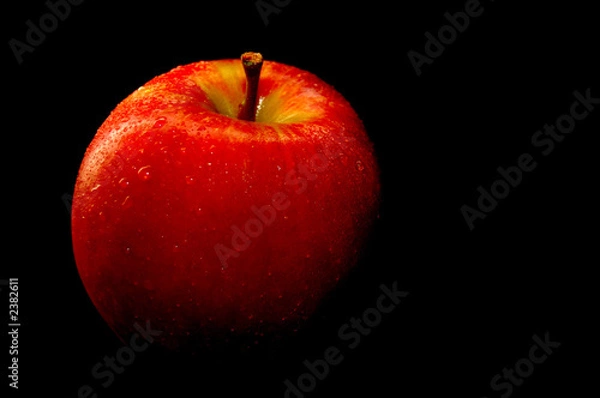 Fototapeta elsta apfel