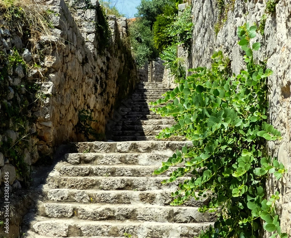 Fototapeta Isolated stone, stepped footpath rising past stone building and wall, with wildflowers growing, set in sunshine on hillside with natural shadows. Lopud, Croatia