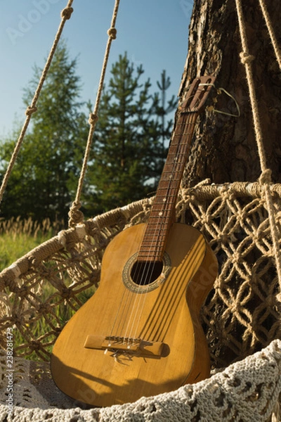 Obraz Guitar and dreamcatchers on a pine branch in the summer forest