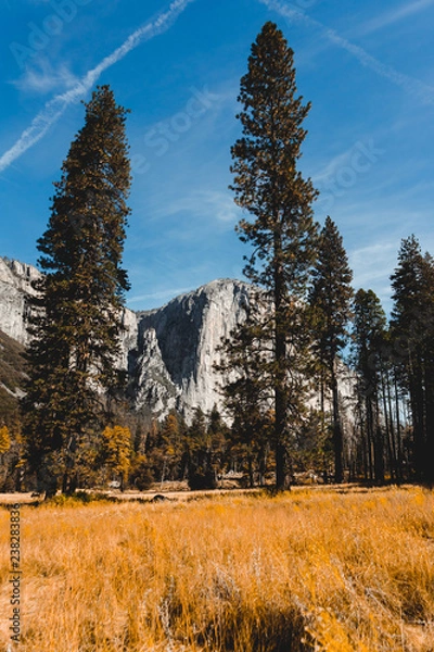 Fototapeta Yosemite