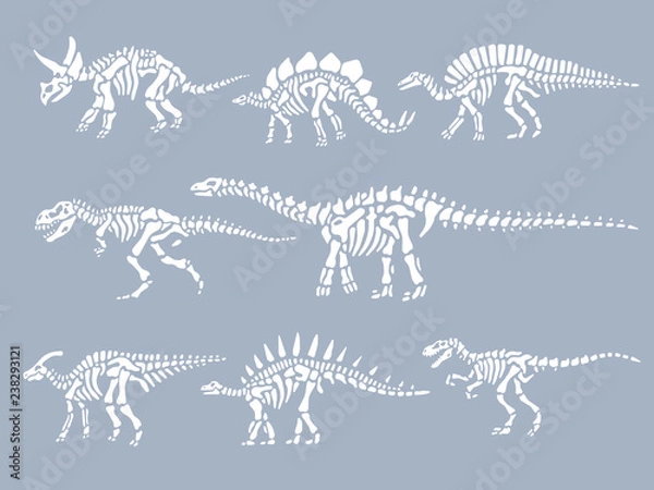 Fototapeta Zestaw szkieletów skamieniałości dinozaurów. Ilustracji wektorowych