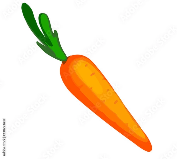 Fototapeta Carrot