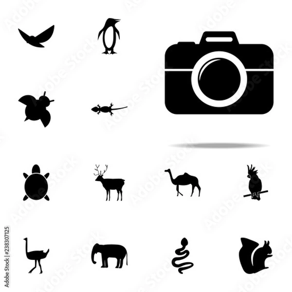 Fototapeta camera icon. zoo icons universal set for web and mobile
