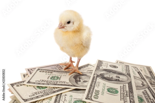 Obraz business first steps