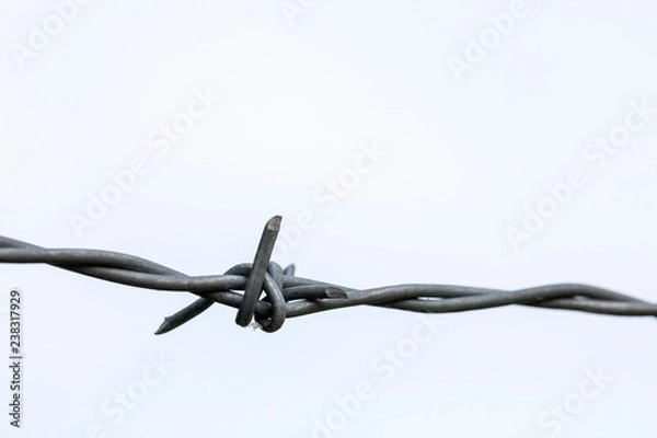 Fototapeta Stacheldraht