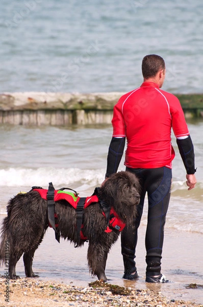 Fototapeta terre neuve