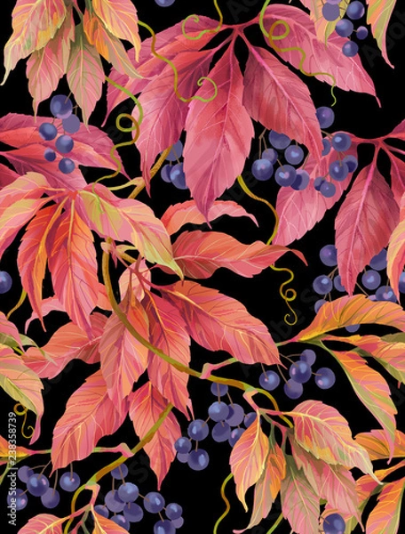 Fototapeta Wild grape with berries and leaves. Seamless background pattern version 2