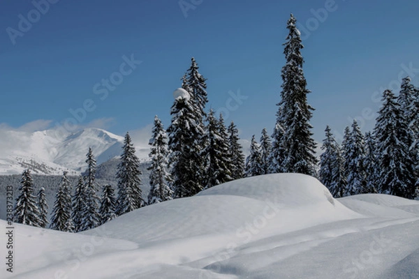 Obraz Zima w Alpach