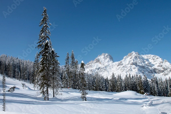 Obraz Zima w Alpach