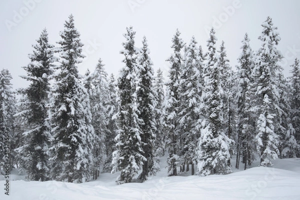Obraz Pada śnieg