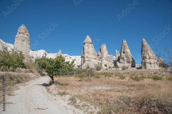 Obraz Долина любви