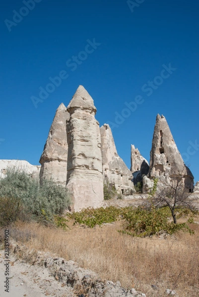 Obraz Долина любви