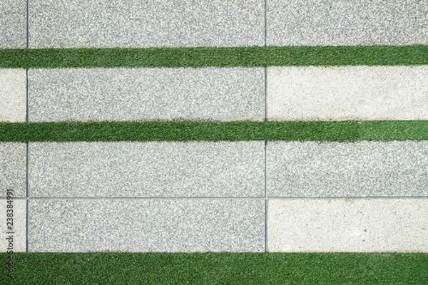 Obraz garden paving background