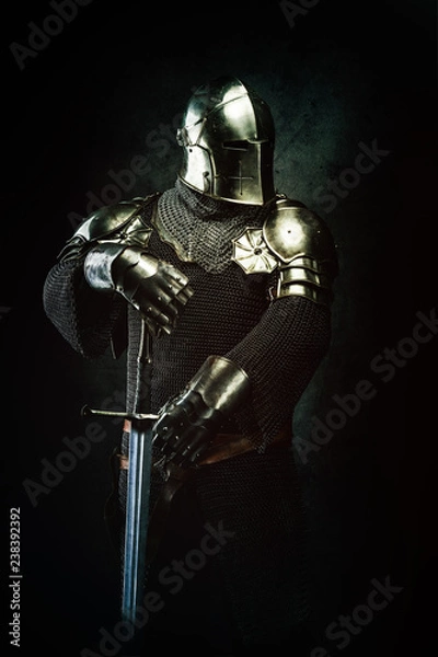 Fototapeta Portrait of a Templar