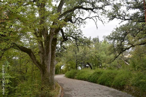 Obraz Yalta, Massandra.