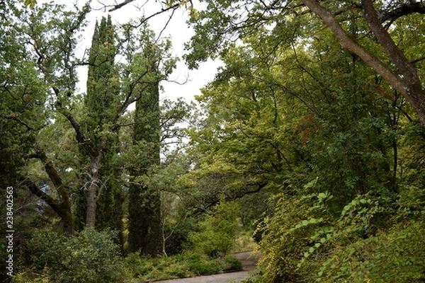 Obraz Yalta, Massandra.