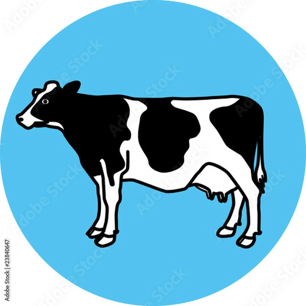 Obraz cow