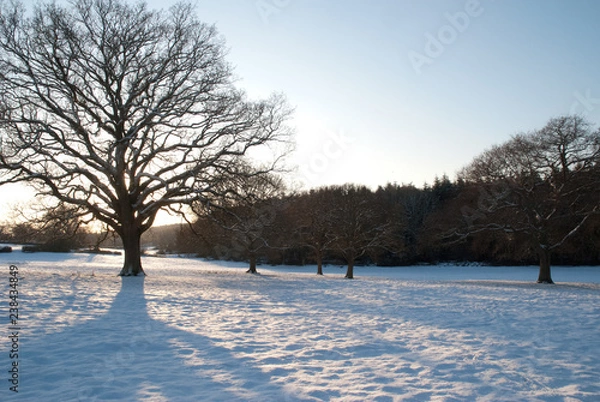 Obraz winter landscape