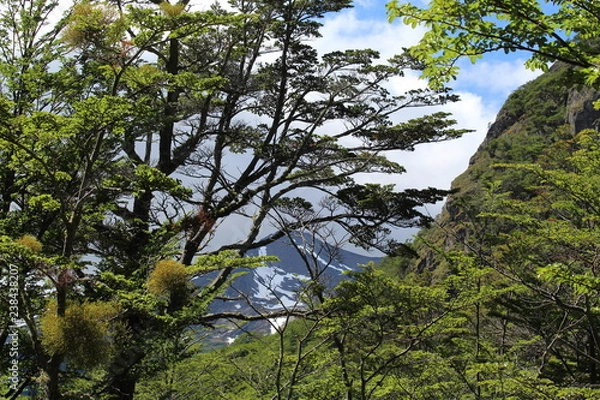 Obraz Landscape  National  park