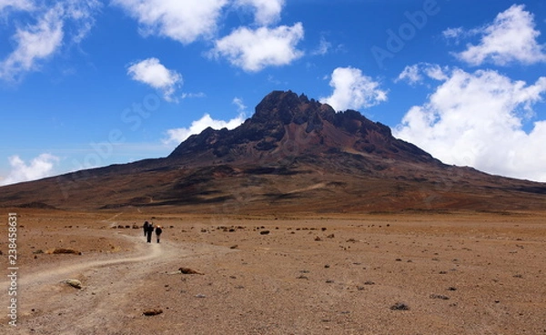 Fototapeta キリマンジャロとマウェンジ峰登山