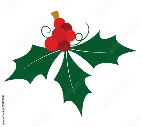 Fototapeta Mistletoe 