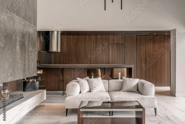 Obraz Modern interior with different walls and fireplace