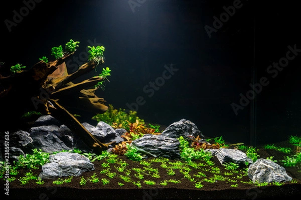 Obraz Aquascape 01
