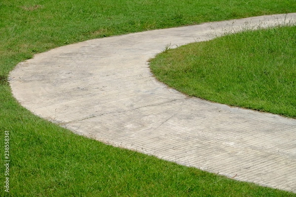 Fototapeta Round curve cement walkway in the fresh green grass garden