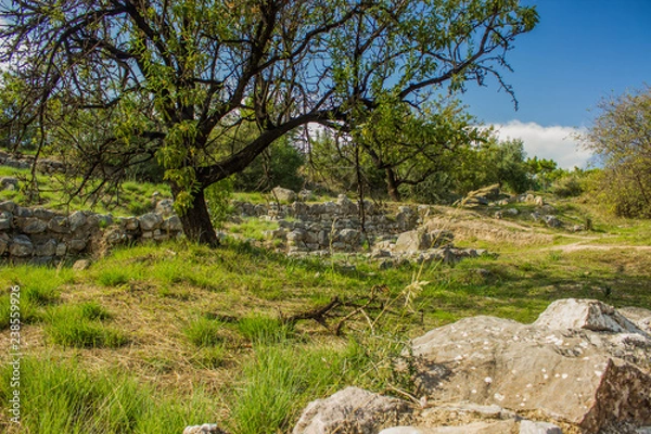 Fototapeta park outdoor outskirts space environment with old destroyed stone wall ruins exterior landscape design and trees in clear bright summer weather time