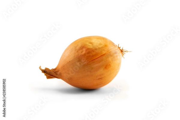 Obraz Onion