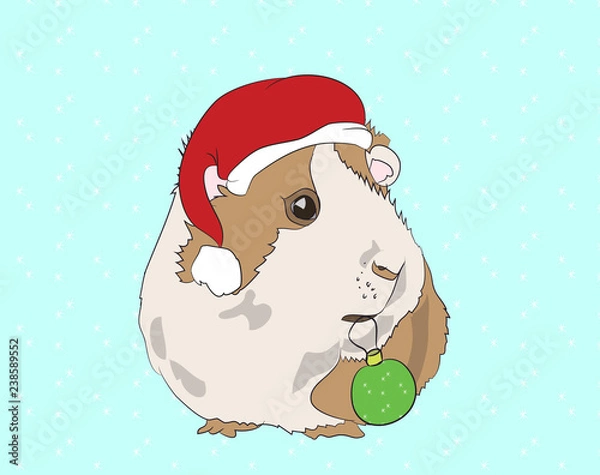 Fototapeta Vector illustration, New Year's guinea pigs in Christmas clothes, can be used as a greeting card, vector,