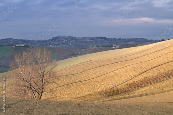 Fototapeta rural landscape with wheat field,agriculture,field, sky, nature,countryside, clouds, country,cloud, autumn, land, 