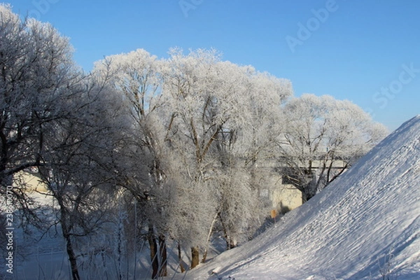 Fototapeta Beautiful icy trees near snowy hill on blue sky background on sunny day - winter lanscape
