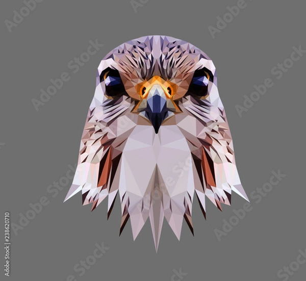 Fototapeta Falcon head on grey background, low poly triangular and wireframe vector illustration EPS 10 isolated. Polygonal style trendy modern logo design. Suitable for printing on a t-shirt.