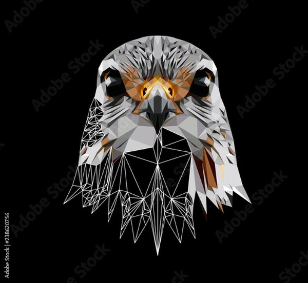 Fototapeta Falcon on black background, low poly triangular and wireframe vector illustration EPS 10 isolated. Polygonal style trendy modern logo design. Suitable for printing on a t-shirt.